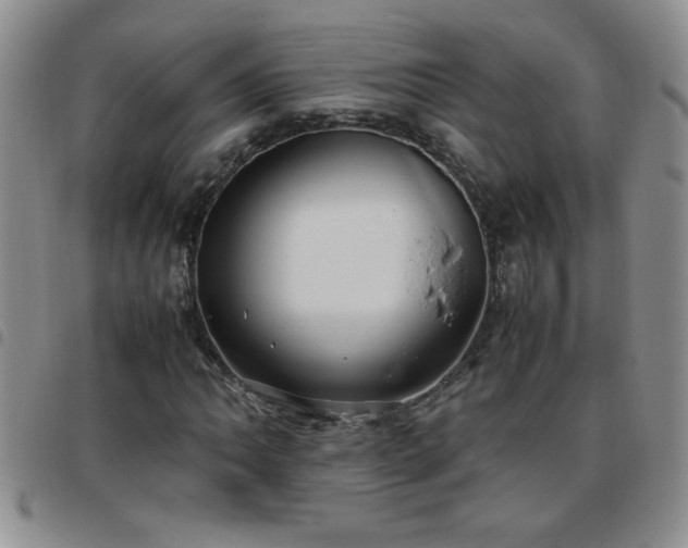 X0000097761062200803141718