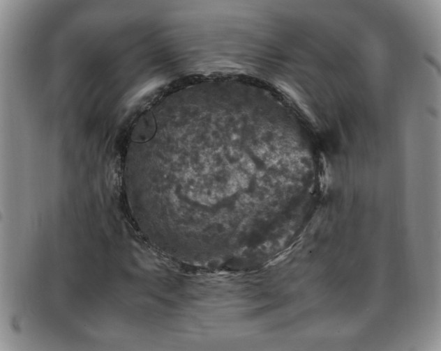 X0000097761063200803141718