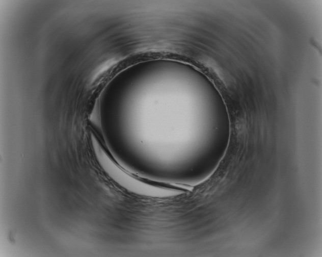 X0000097761064200803141718