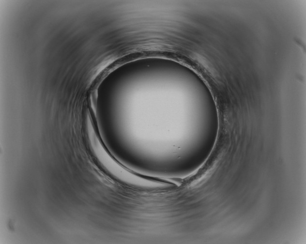 X0000097761065200803141718