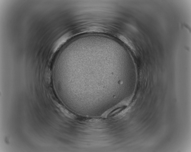 X0000097761067200803141718