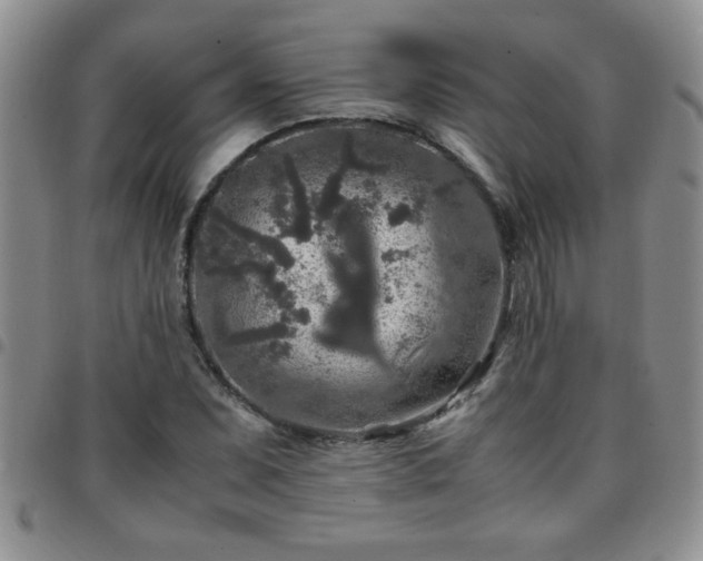 X0000097761071200803141718