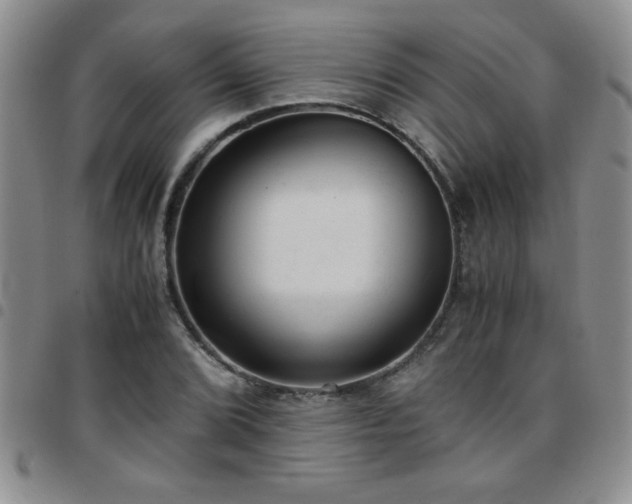 X0000097761072200803141718