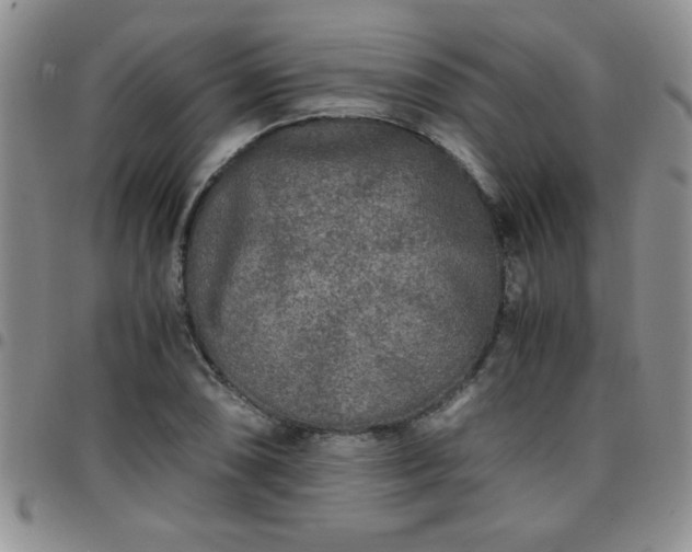 X0000097761074200803141718