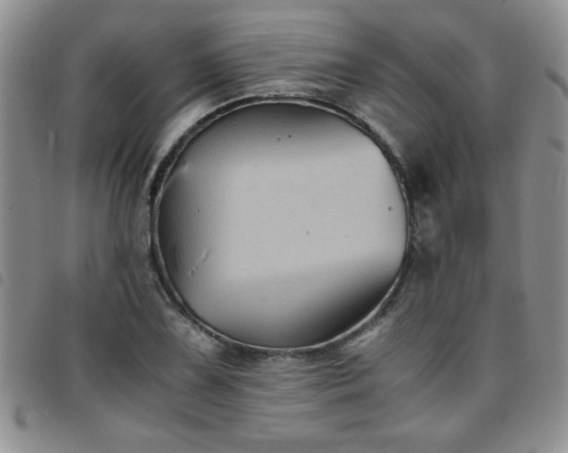 X0000097761075200803141718