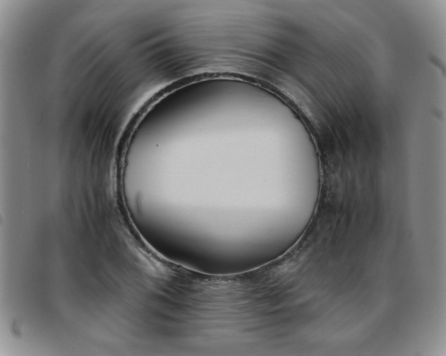 X0000097761076200803141718