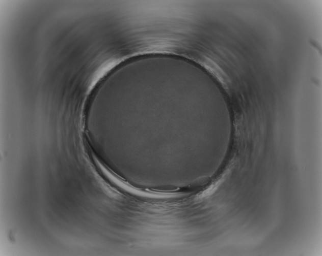 X0000097761077200803141718