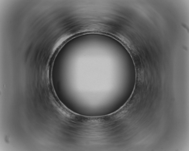 X0000097761078200803141718