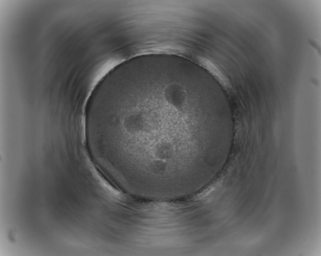 X0000097761079200803141718