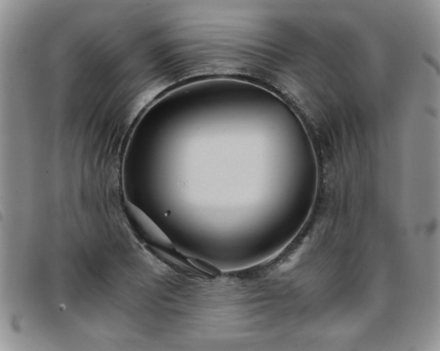 X0000097761081200803141718