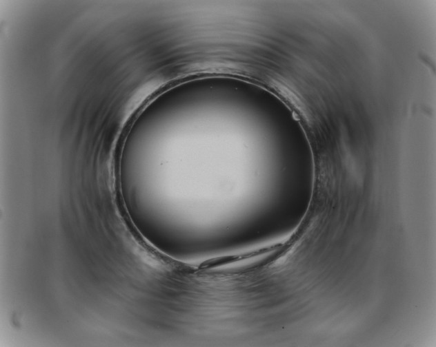 X0000097761082200803141718