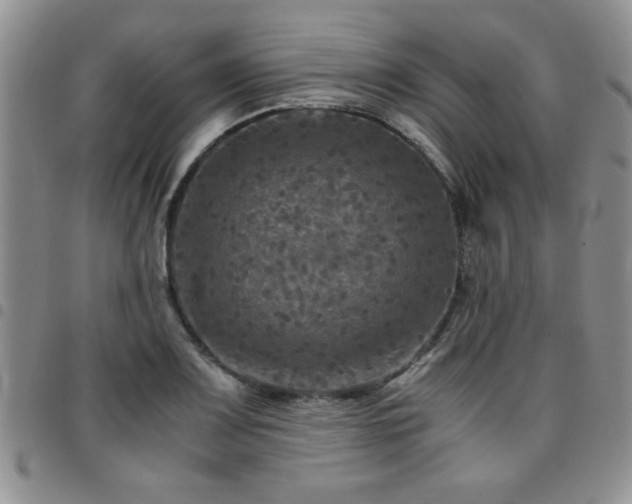 X0000097761083200803141718