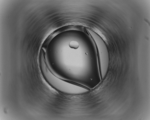 X0000097761084200803141718