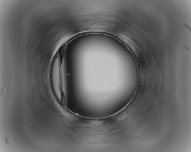 X0000097761085200803141718