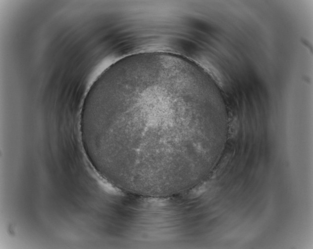 X0000097761086200803141718