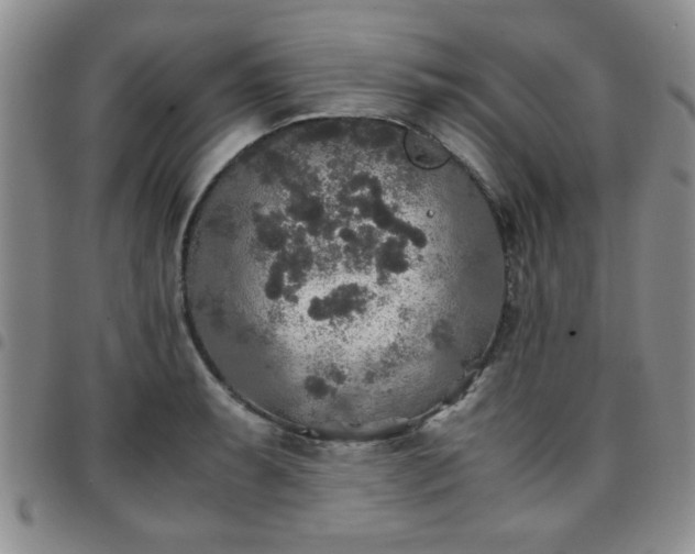 X0000097761087200803141718