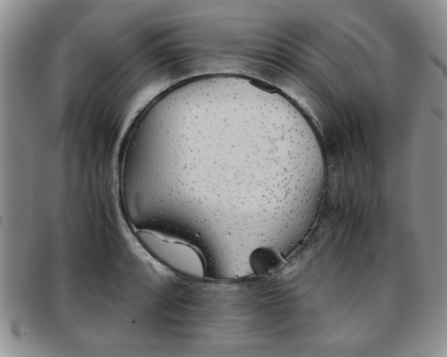 X0000097761088200803141718