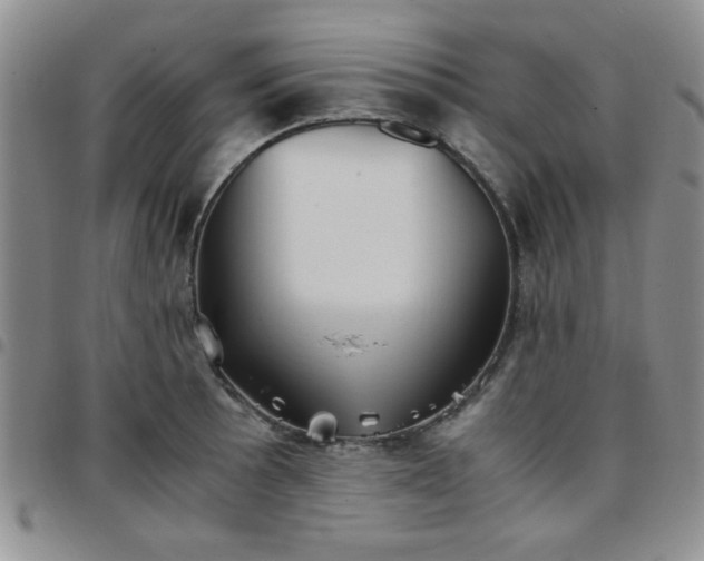 X0000097761089200803141718