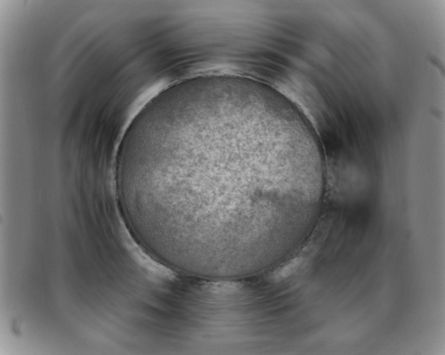 X0000097761090200803141718