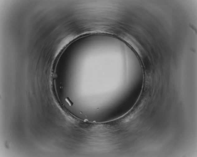 X0000097761093200803141718