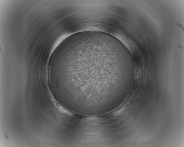 X0000097761094200803141718