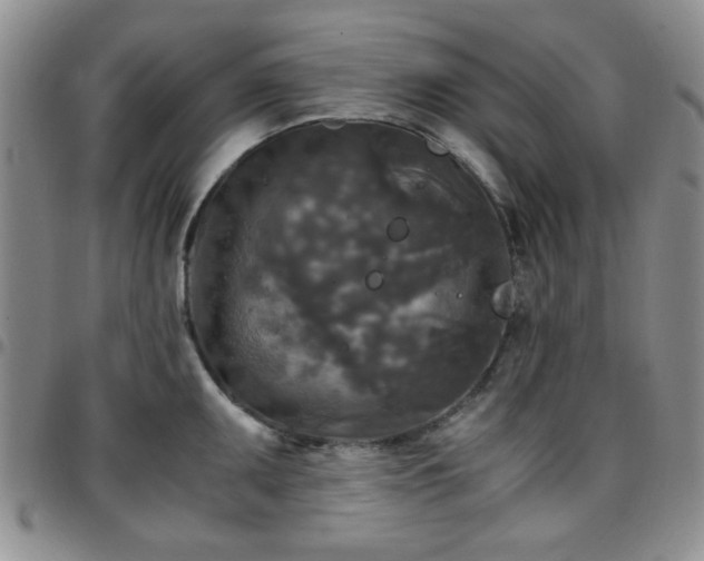 X0000097761095200803141718