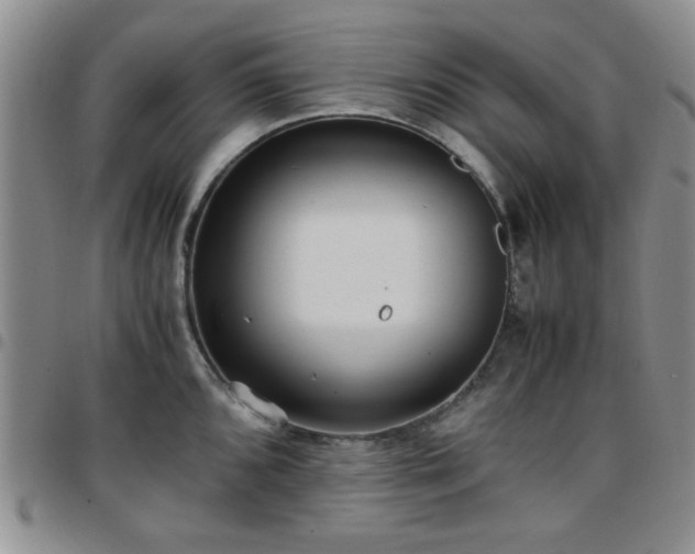 X0000097761096200803141718