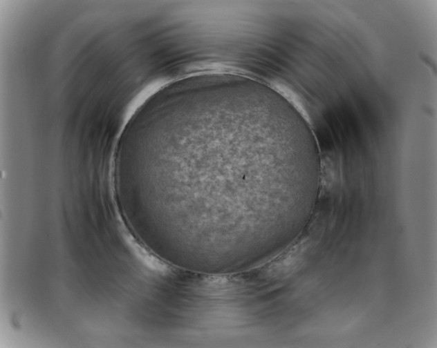 X0000097761098200803141718