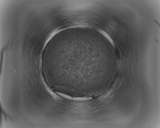 X0000097761099200803141718