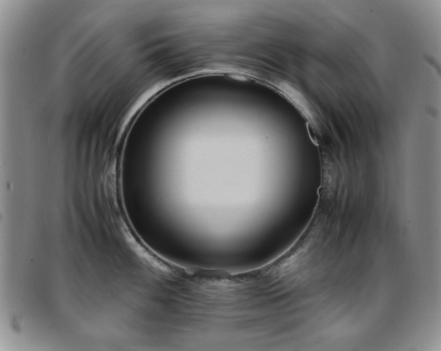 X0000097761100200803141718