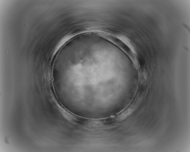 X0000097761101200803141718