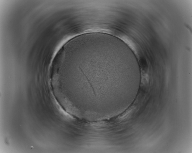 X0000097761102200803141718