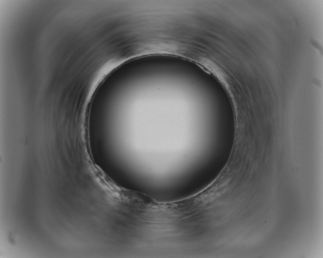 X0000097761104200803141717