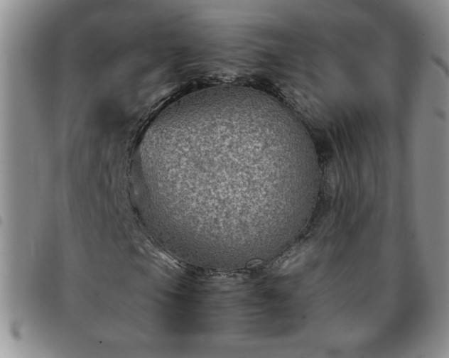 X0000097761105200803141717