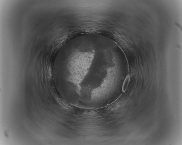 X0000097761106200803141717