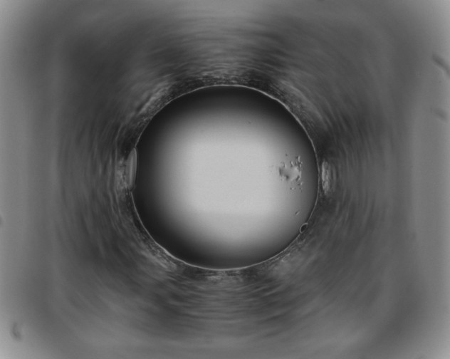 X0000097761107200803141717