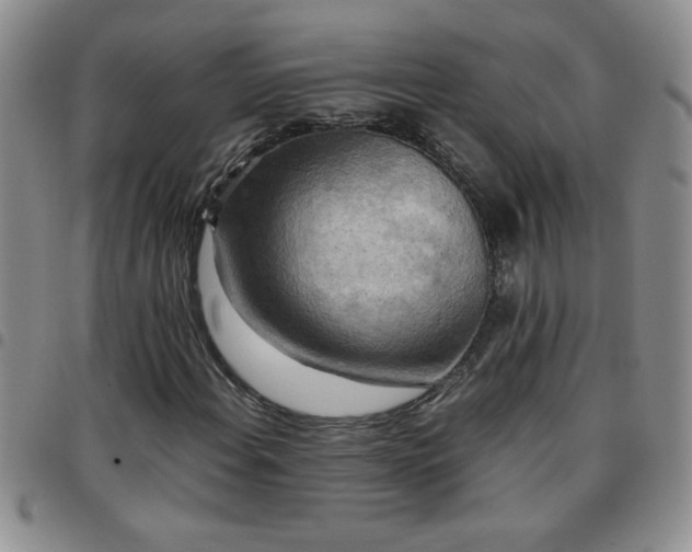 X0000097761108200803141717