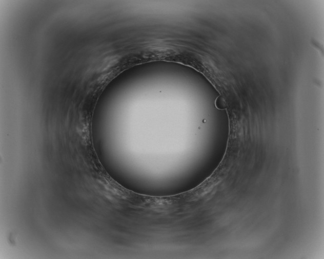 X0000097761109200803141717