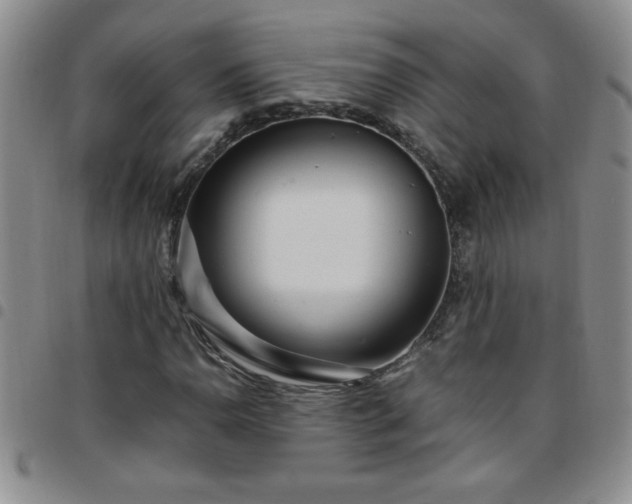 X0000097761110200803141717