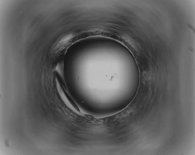 X0000097761111200803141717