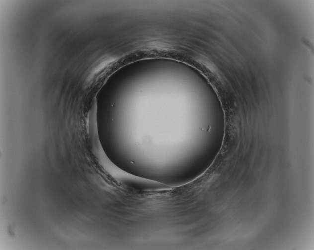 X0000097761112200803141717