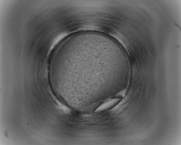 X0000097761115200803141717