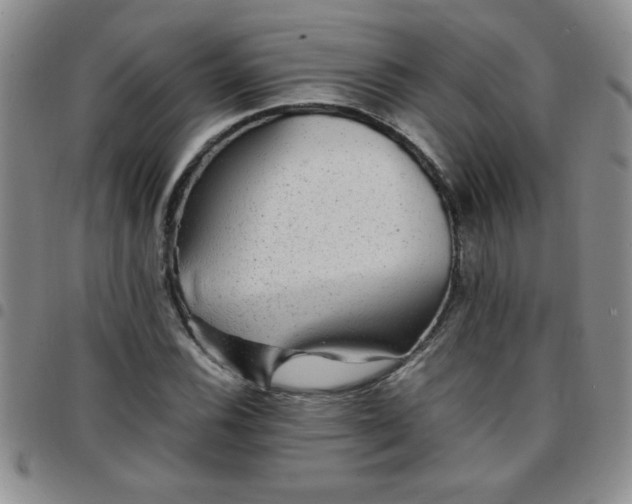 X0000097761116200803141717