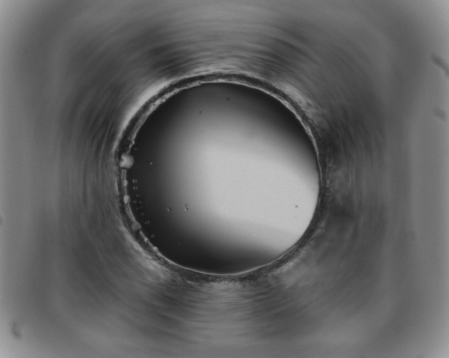 X0000097761118200803141717