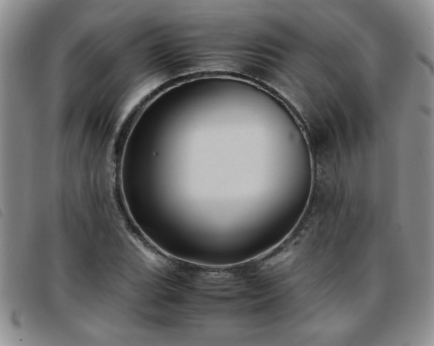 X0000097761119200803141717