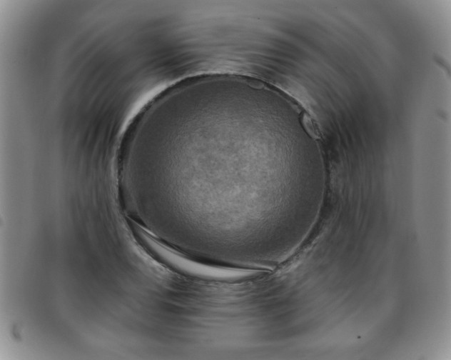 X0000097761120200803141717