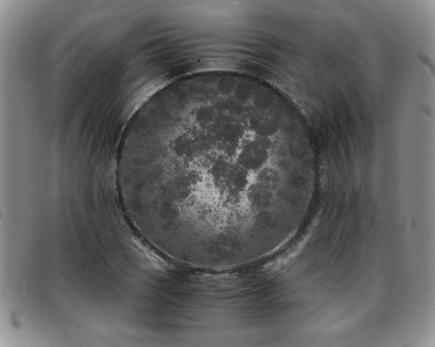 X0000097761121200803141717