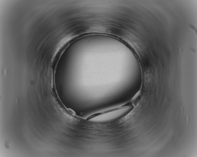 X0000097761123200803141717