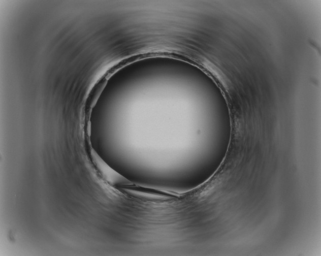 X0000097761124200803141717