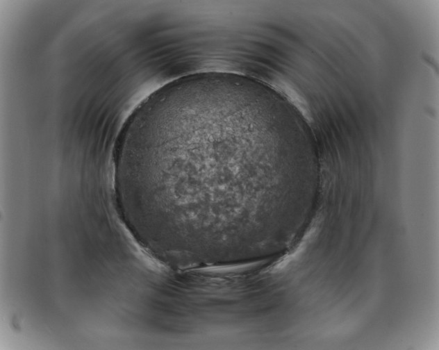 X0000097761125200803141717